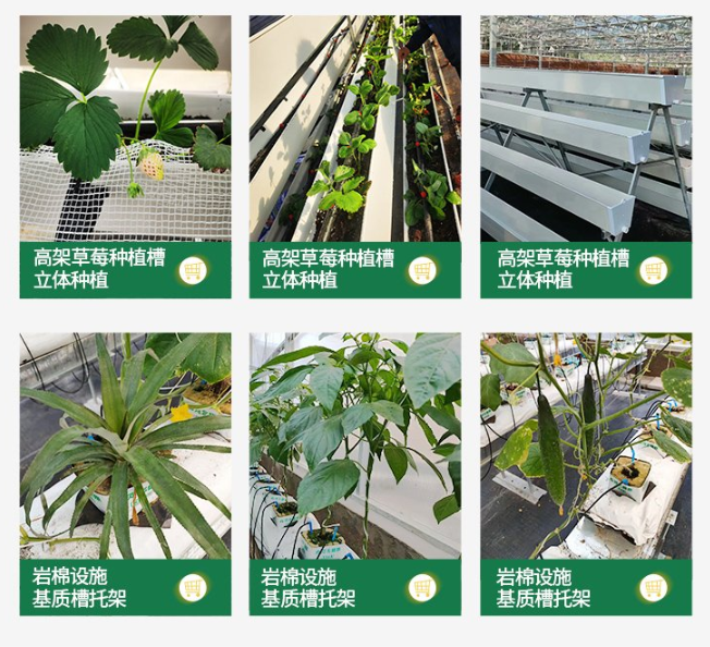 1688974949785449.png image.png